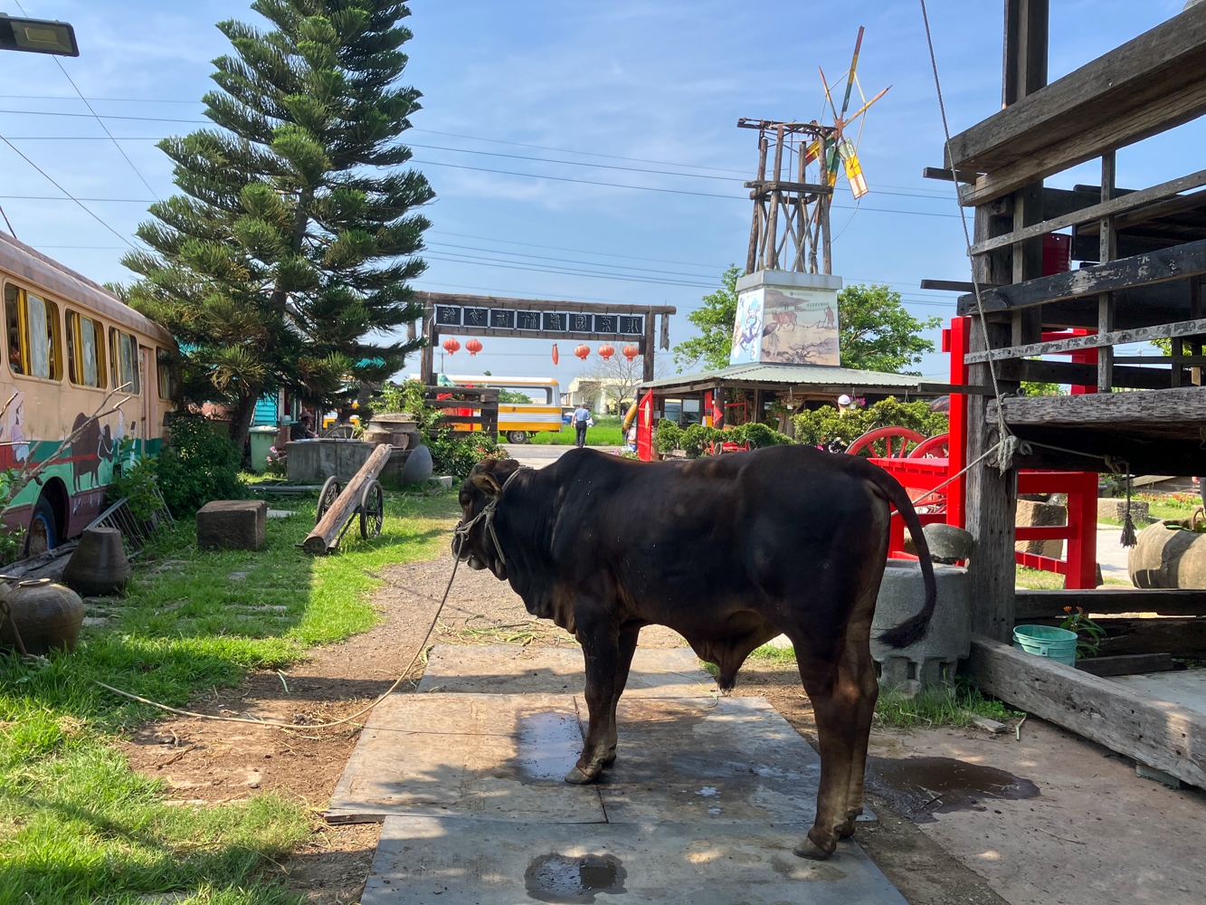 Le musée de la campagne Ding tsai yuan à Xingang, dans le comté de Chiayi (photo : Sasa)