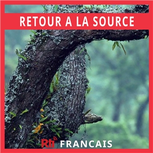 Retour à la source 