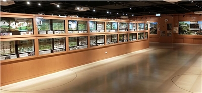 Le musée des papillons et des inesctes du lycée Chenggong (FB du lycée Chenggong)