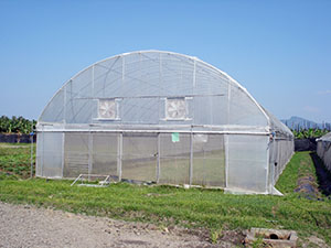 Serre (photo illustration, MOA)