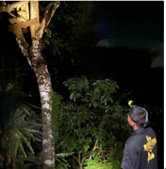 La ronde du soir assurée par l'association de la culture traditionnelle de la chasse d’Atayal 