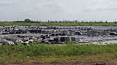 Une exploitation de l'énergie photovoltaïque  à Chiayi a une grande partie de ses panneaux solaires endommagés par le typhon (photo : CNA)