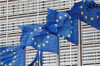 Drapeaux européens (Image : Reuters)