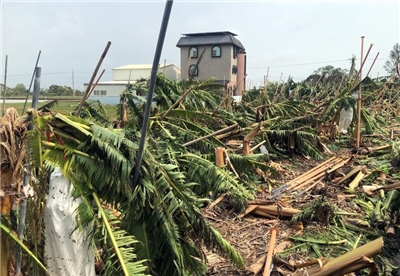 Adoption d'un budget spécial de 56 milliards pour la reconstruction post-typhon et inondations (Image : CNA)