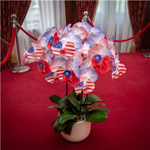 Les Orchidées aux couleurs de Taïwan et des Etats-Unis (Photo FB de Tsai Ing-wen)
