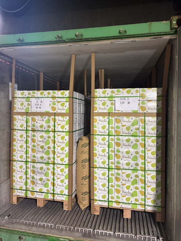 Cargaison de pomelos de Taïwan arrivée récemment en Malaisie (photo CNA)