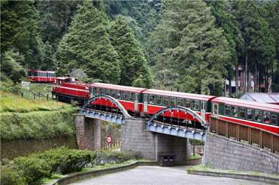 Le train d'Alishan (Image : Alishan Forest Railway and Cultural Heritage Office)