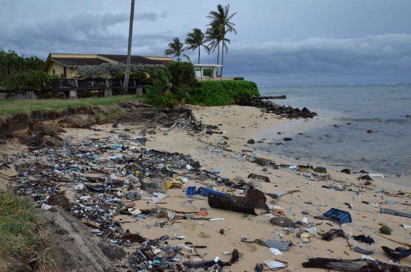 Illustration des déchets plastiques (source: Ifremer, Mamaca Emina)
