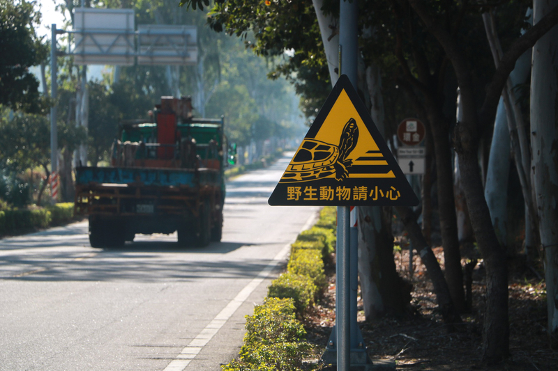 La nouvelle signalisation routière à Kinmen pour protéger une espèce endémique de tortue (photo, CNA)