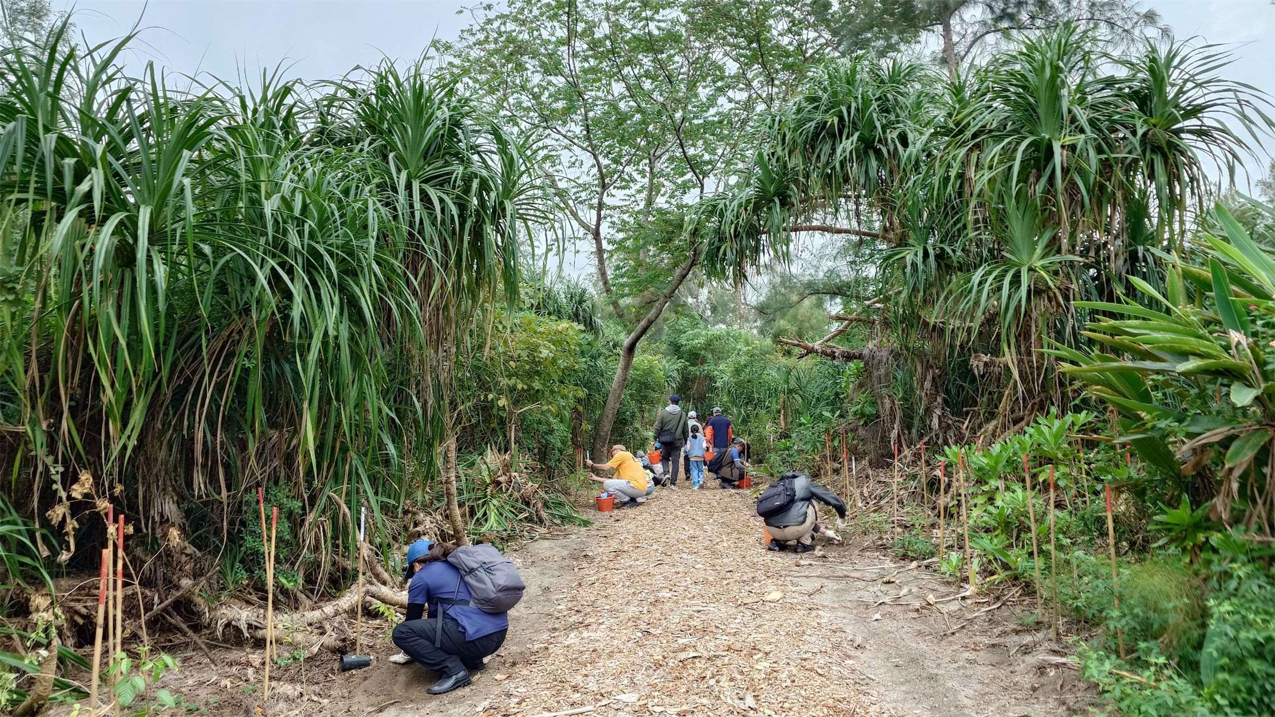 Le travail de la récréation d'une forêt de protection des côtes à Hualien selon la méthode Miyawaki (Photo fournie par l'association taïwanaise de la reforestation)