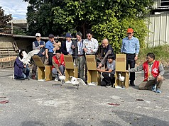  Quatre spatules à tête noire relâchées à Tainan après traitement (photo, CNA)