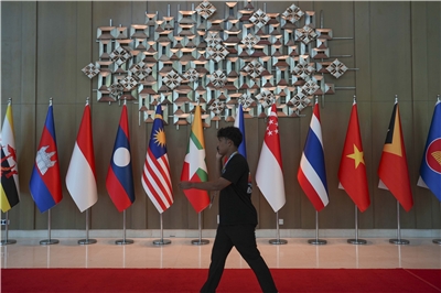 Drapeaux des pays membres de l'ASEAN (photo TPGShutterstock)