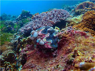 Des bénitiers de ShiTiPing à Hualien (Photo : Chen Jie-min)