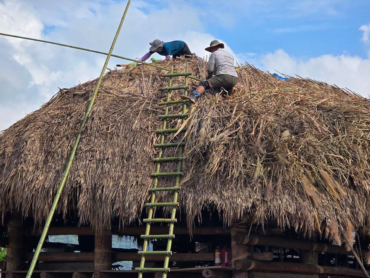 Réfection du toit en chaume du Hufu à Jiumei, comté de Nantou (photo : Mo'e Yasiyungu)