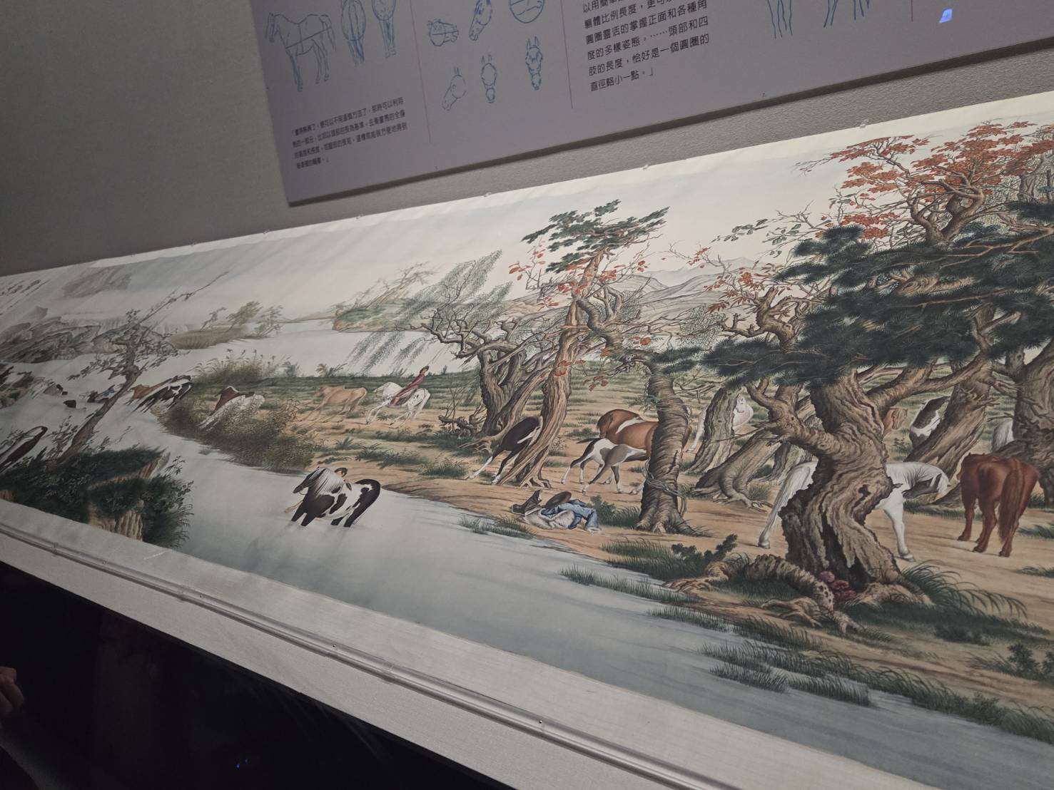 Copie des Cent chevaux de Castiglione par le peintre Ma Jin, exposée à la branche sud du musée du Palais (photo Rti)