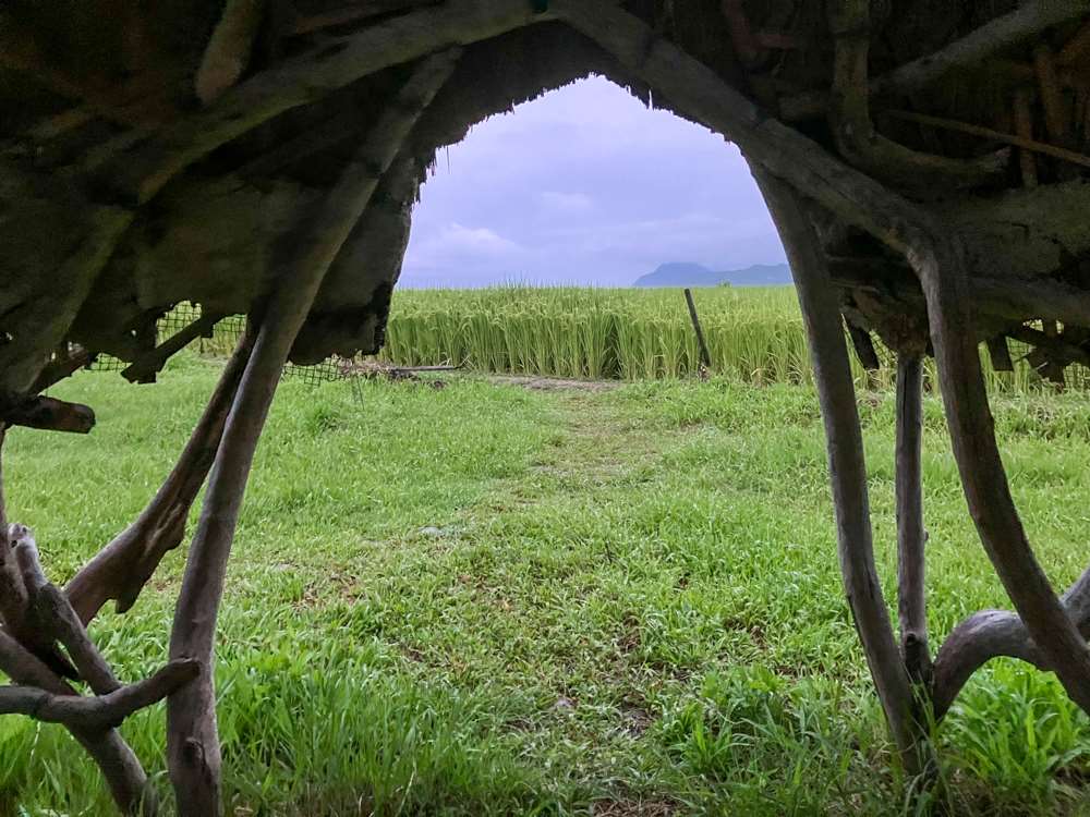 Une hutte en bois flotté du Studio Paterongan à Fengbin sur la côte est de Taïwan (photo : Sasa / RTI)