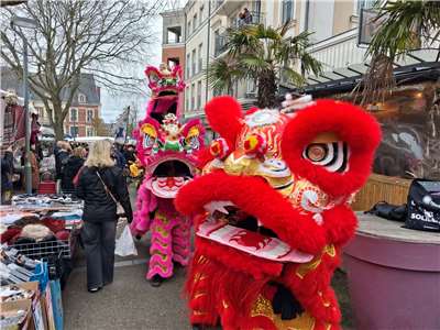 Les lions entrent dans le marché de Noisy-le-Grand (image Clément Tricot)