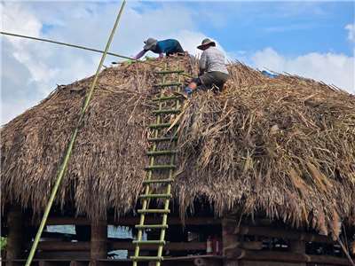 Réfection du toit en chaume du Hufu à Jiumei, comté de Nantou (photo : Mo'e Yasiyungu)