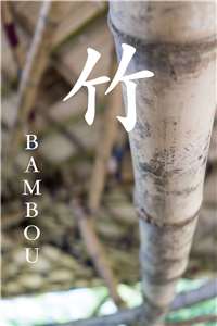 Bambou (photo : Sasa/RTI)