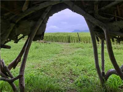 Une hutte en bois flotté du Studio Paterongan à Fengbin sur la côte est de Taïwan (photo : Sasa / RTI)