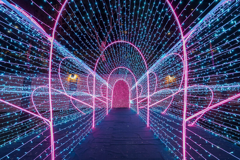 Une installation lumineuse dans le Nouveau Taipei à l'occasion de la Saint-Valentin blanche (Photo CNA)