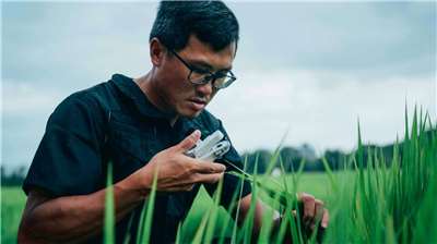 Chen Shi-hsian, riziculture primé au Japon (Photo : ville de Taoyuan)