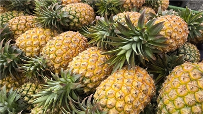 Ananas (photo CNA)