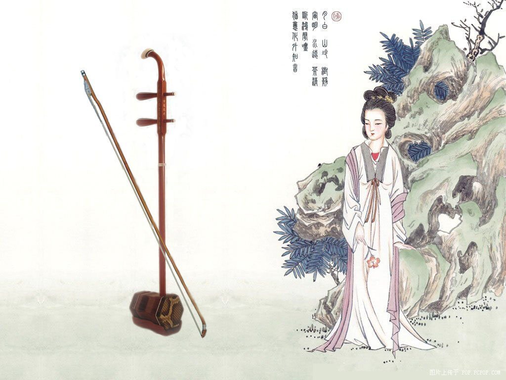 Image d'illustration (violon à deux cordes)