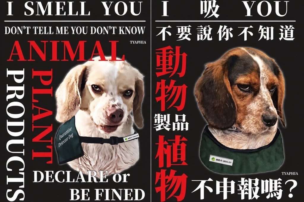 Campagne de sensibilisation des douanes à l'aéroport de Taoyuan (image : Animal and Plant Health Inspection Agency)