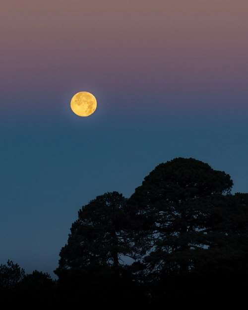 Illustration d'un soir de pleine lune (source: Pexels)