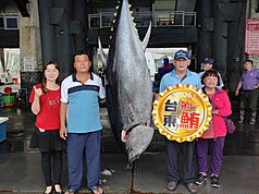 Le chalutier Sheng Tai Feng récompensé pour sa prise du premier thon de grande taille de la saison, dépassant les 175 kilos (photo, CNA) 
