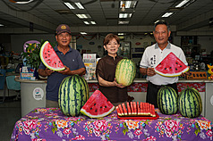 Le chef de la commune de Chiatung Lai Wen-yi (à d.), la secrétaire générale de l'Association communale des agriculteurs  Lin Shu-ling (au c.) et le champion de la pastèque Wang Chia-cheng (à g.) présentent le festival de la pastèque de la commune  (photo, CNA)
