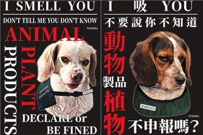 Campagne de sensibilisation des douanes à l'aéroport de Taoyuan (image : Animal and Plant Health Inspection Agency)