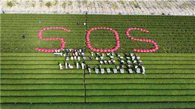 Action de protestation dans les plantations de thé organisée par l'association d'entraire contre l'incinérateur de Mingjian (photo : 名間鄉反焚化爐自救會)