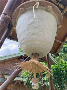 Une ruche solaire à Taïwan qui vient tout juste d'être installée (photo : Hsieh Hong-ming)
