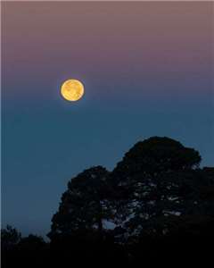 Illustration d'un soir de pleine lune (source: Pexels)
