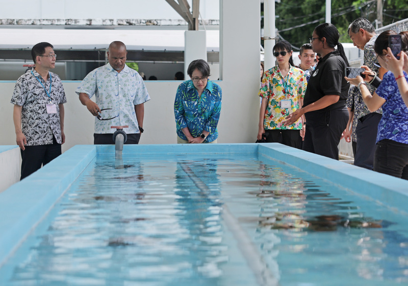La vice-présidente Hsiao Bi-khim (3e à g.) visite le Centre de démonstration de mariculture aux Palaos  (photo, CNA)