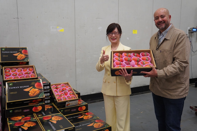 La mangue taïwanaise fait son entrée sur le marché français  (photo CNA)