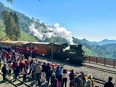 Le train de la forêt Alishan (photo, CNA)