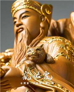 La divinité Baoshengdadi (保生大帝), l'Empereur qui préserve la vie du temple Chong-you (transcription phonétique) ( Photo : FB du temple Chong-you 寵佑宮 - 台灣第一間寵物專屬宮廟)
