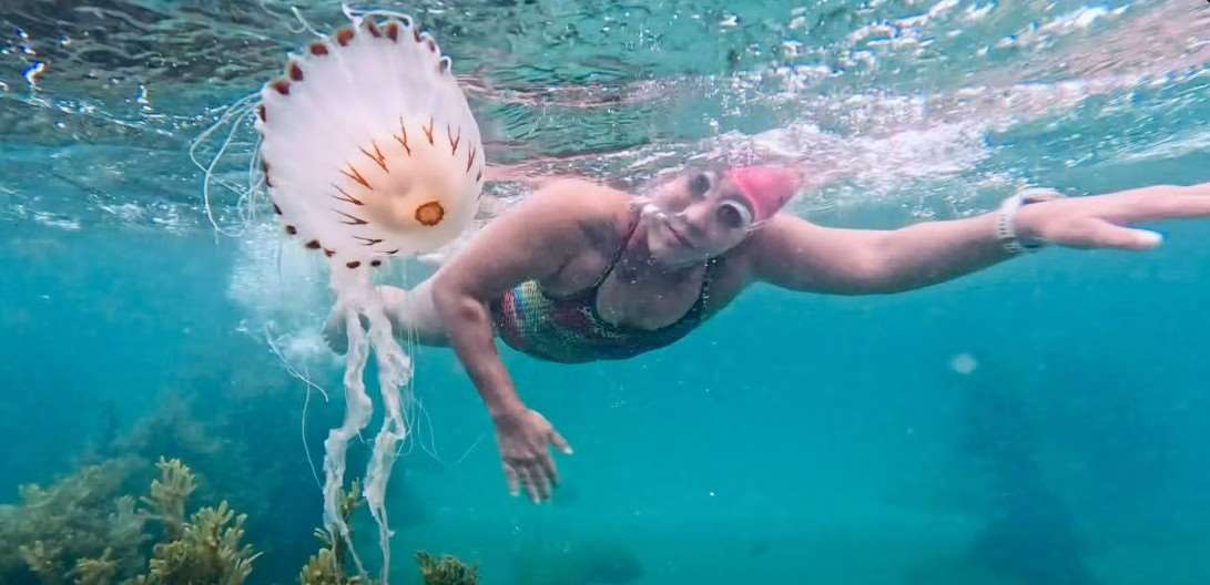 Hsu Wen-erh nage tout près d'une méduse, dans le canal du Nord (photo : FB Hsu Wen-erh)