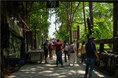 Dans cette allée du Musée de la campagne de Ding Tsai Yuan, des panneaux montrent des expressions en taïwanais qui évoquent la vie à la campagne (photo : Sasa)