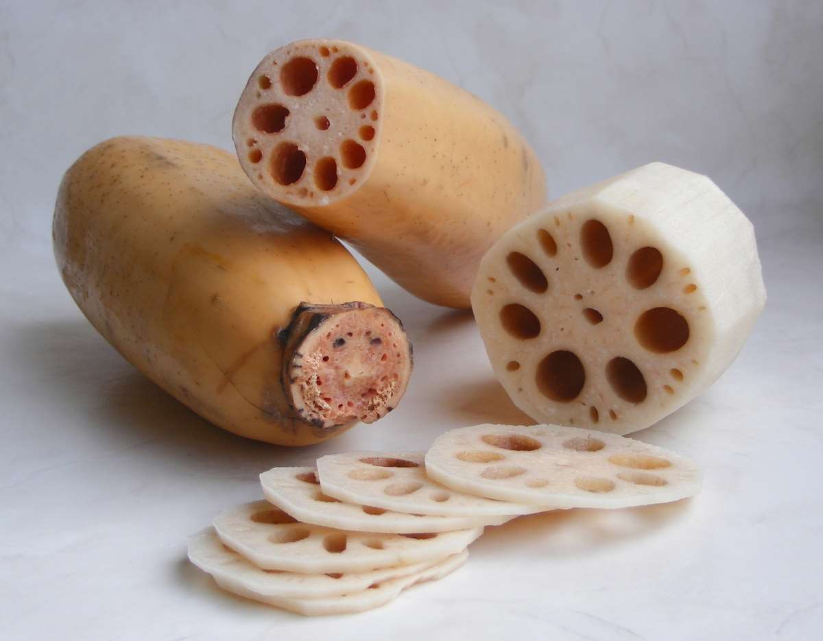 Photo : racines de lotus (Source: Wikipedia)