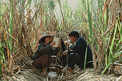 Image du film A Foggy Tale (photo CNA)