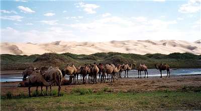 Dunes de sable du parc national de Gobi Gurvansaikhan, dans la province d'Ömnögovi, en Mongolie (User:Doron, CC BY-SA 3.0 , via Wikimedia Commons)