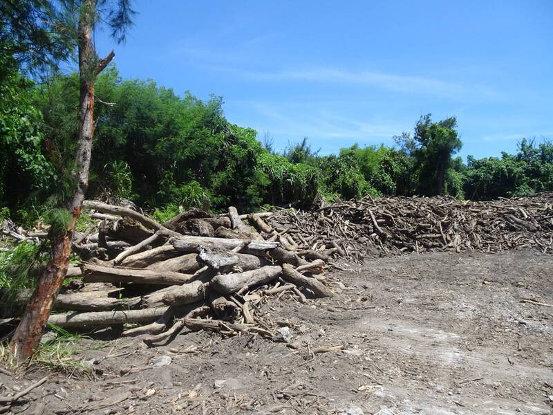 Accumulation de bois flotté à Taitung (photo, CNA/bureau forestier)