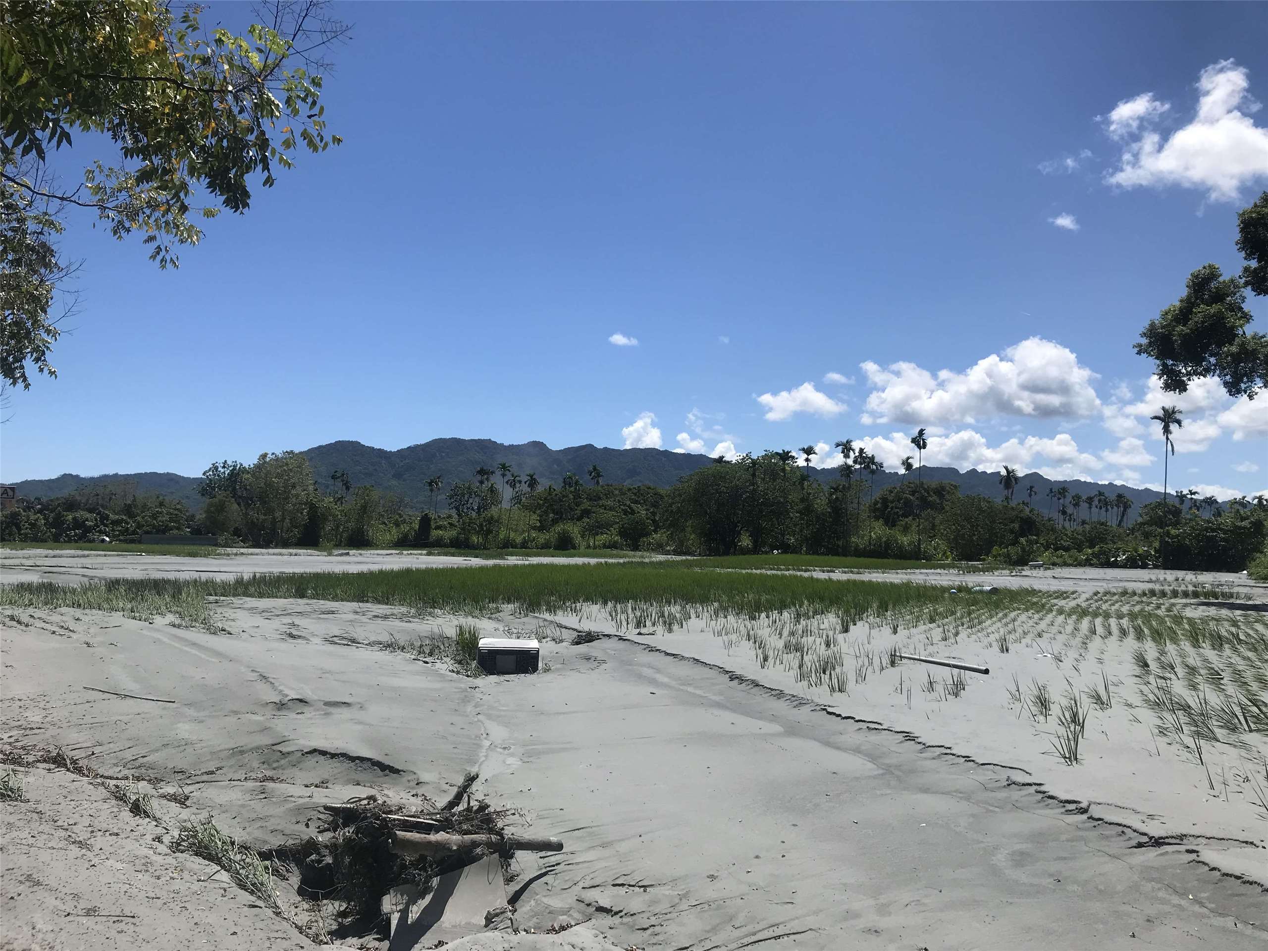 Reportage à Guangfu auprès des bénévoles mobilisés suite aux inondations (Image : Lisa Duffaud)