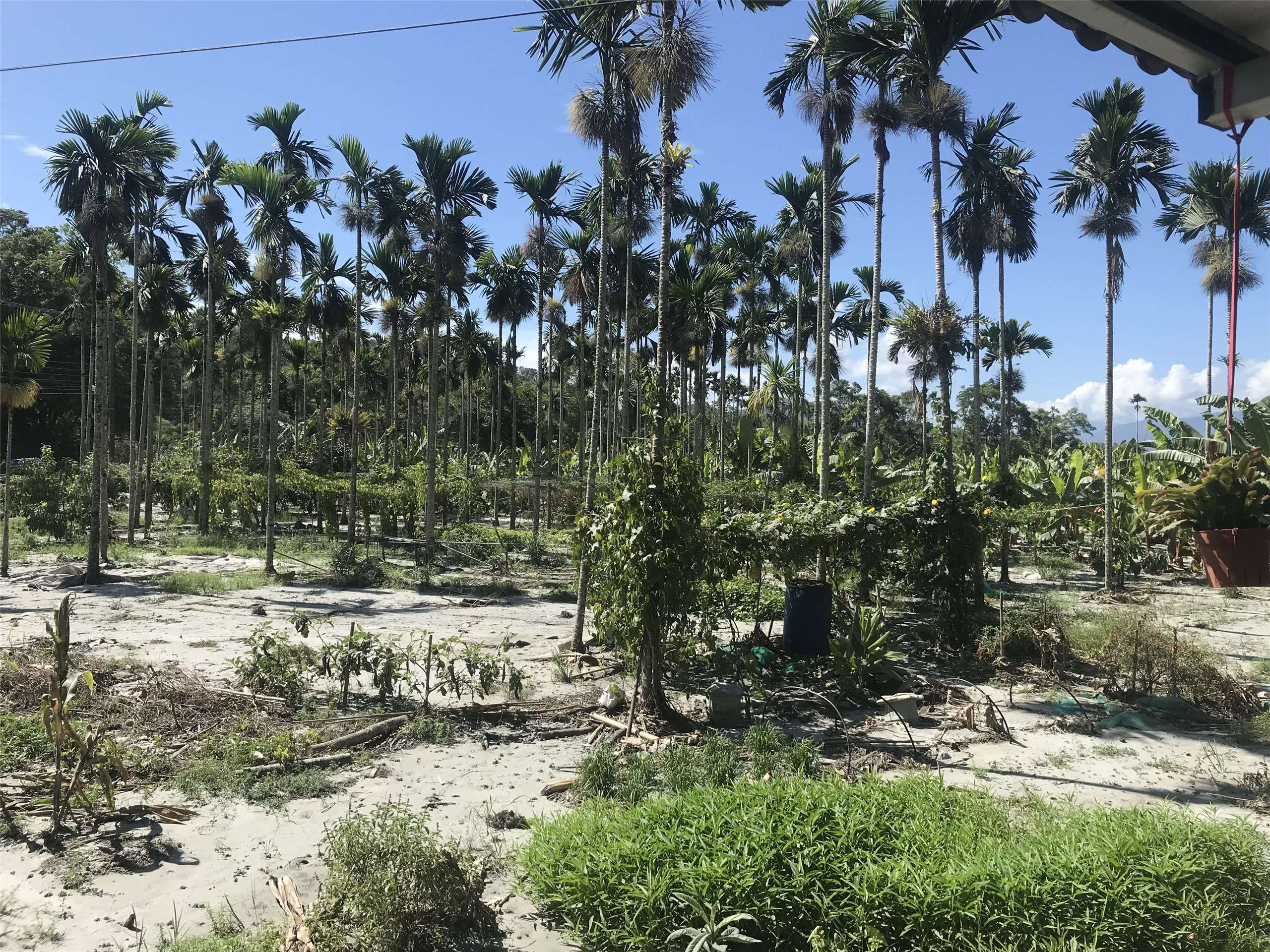 Reportage à Guangfu auprès des bénévoles mobilisés suite aux inondations (Image : Lisa Duffaud)