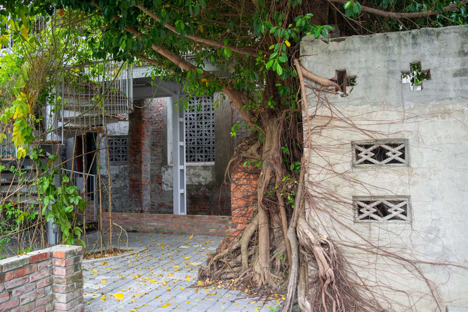 Rendez-vous mercredi prochain pour visiter l'ancien village de garnison aux côtés de Lee Yini ! (photo : Sasa)