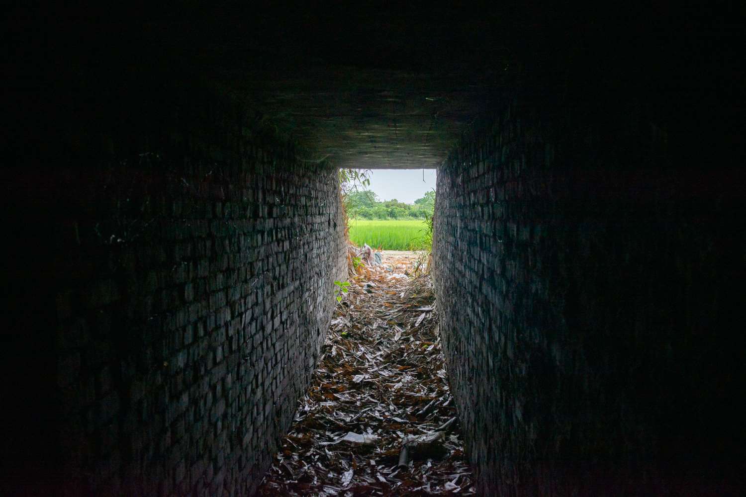 Ici, un abri antiaérien de l'époque japonaise qui n'a pas été restauré photo : Sasa)
